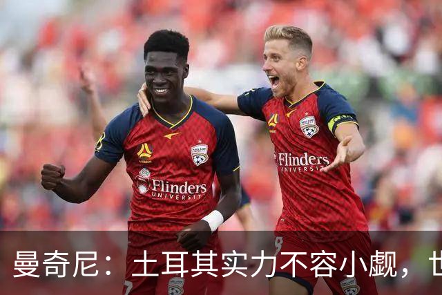 曼奇尼：土耳其实力不容小觑，世界杯出局真是太冤了